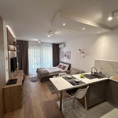 V Park Lux Apartment